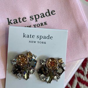 NWT~KATE SPADE~Reflecting Pool Cluster Studs, Neutral Multi